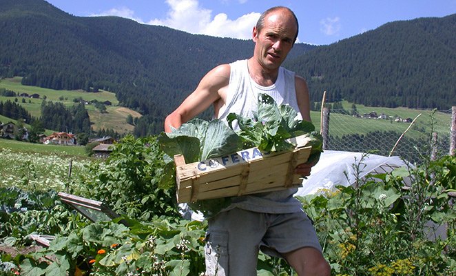 Verdure BIO - produzione propria