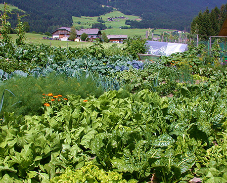 Prodotti naturali